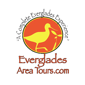 EvergladesTours